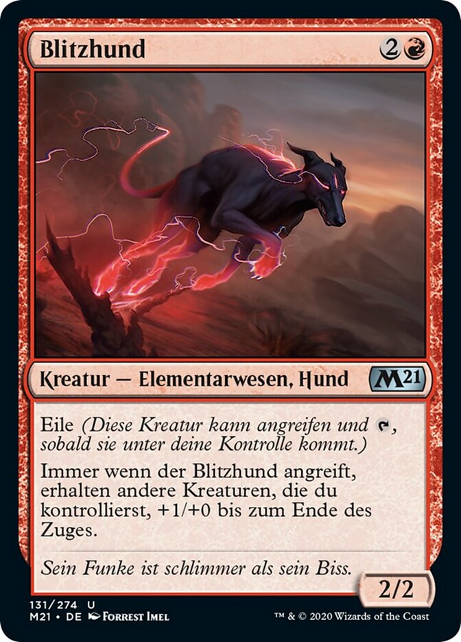 Blitzhund