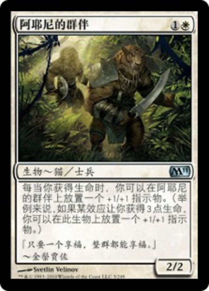 阿耶尼的群伴