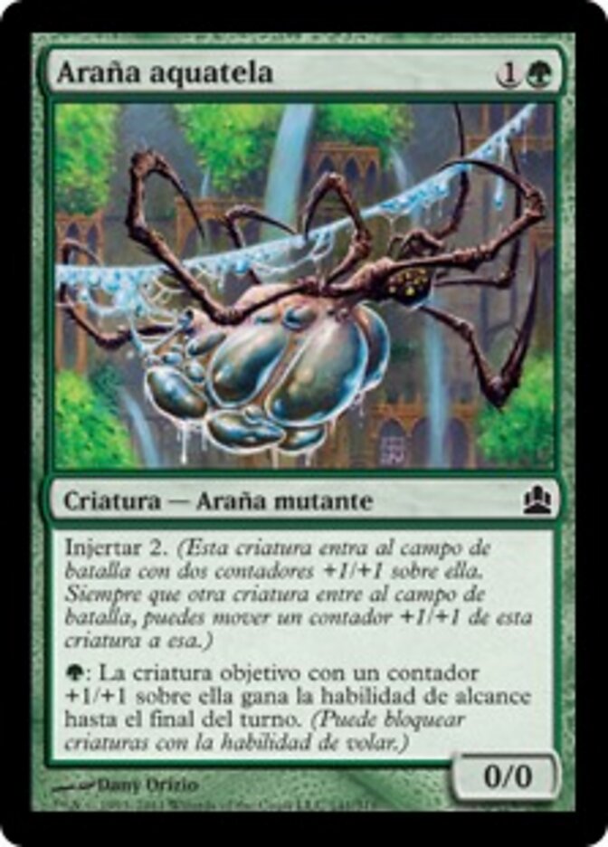Araña aquatela