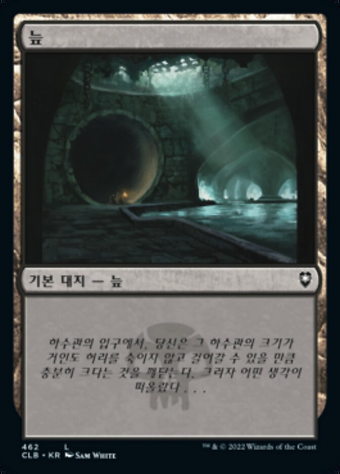 늪