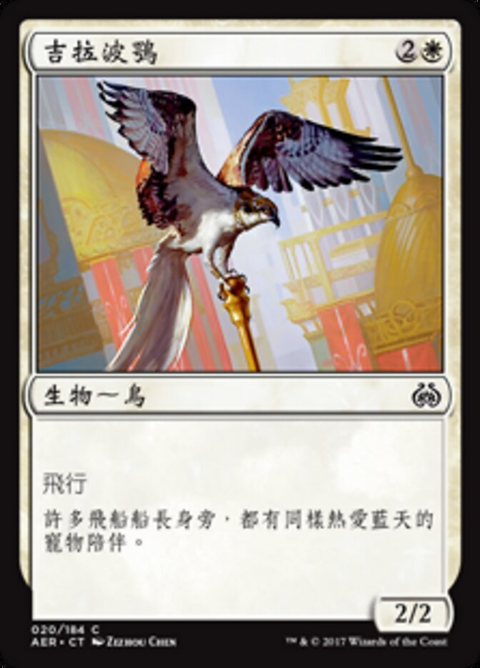吉拉波鶚
