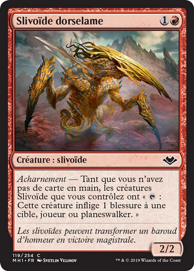 Slivoïde dorselame