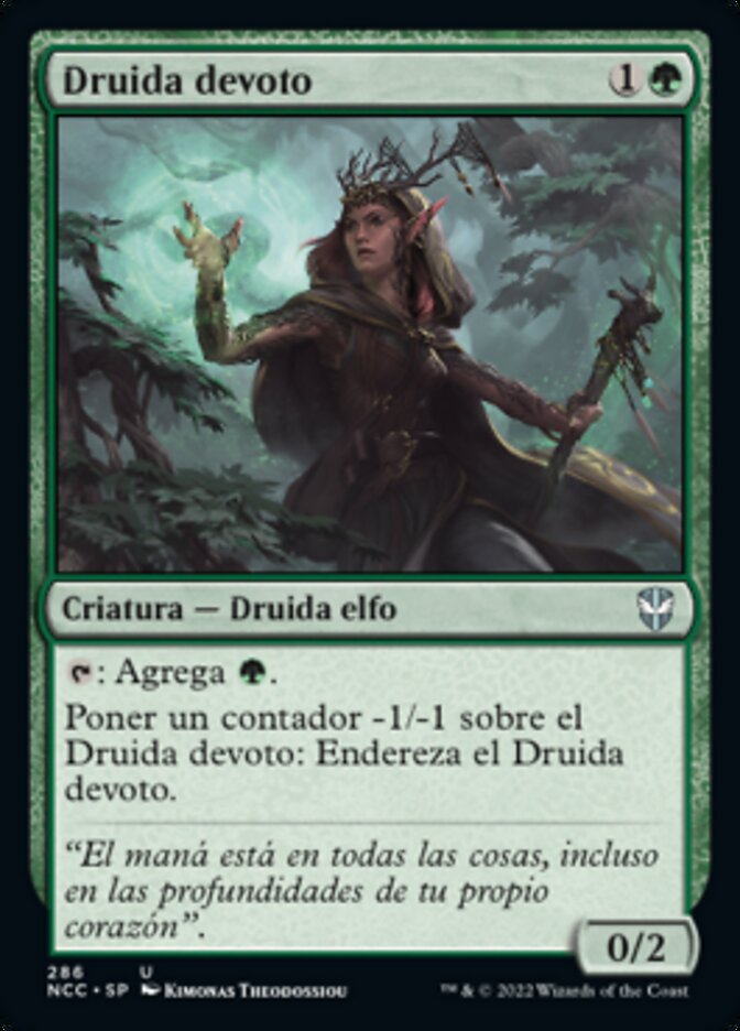 Druida devoto