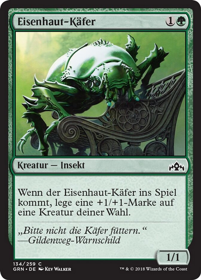 Eisenhaut-Käfer