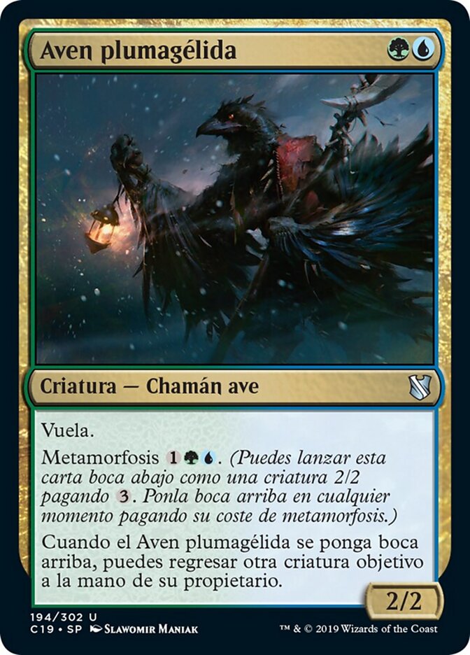 Aven plumagélida