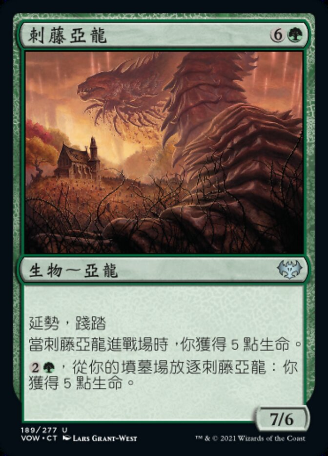 刺藤亞龍