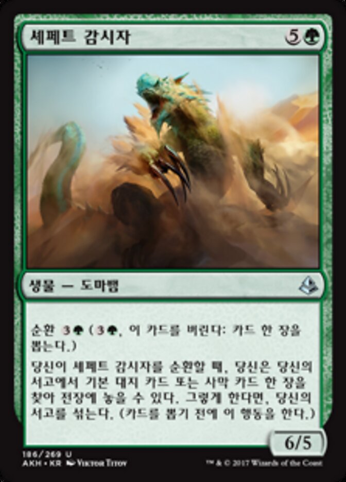 셰페트 감시자