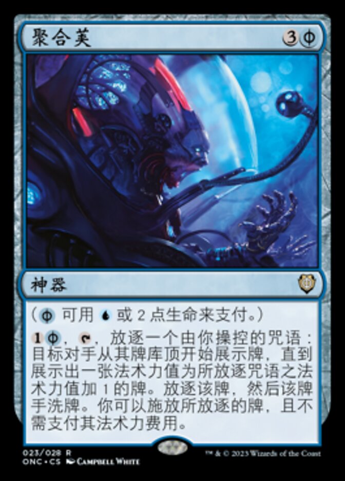 聚合荚