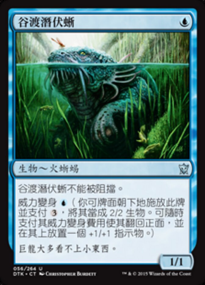 谷渡潛伏蜥
