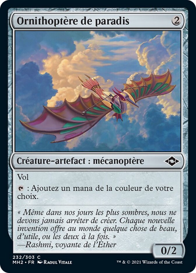 Ornithoptère de paradis