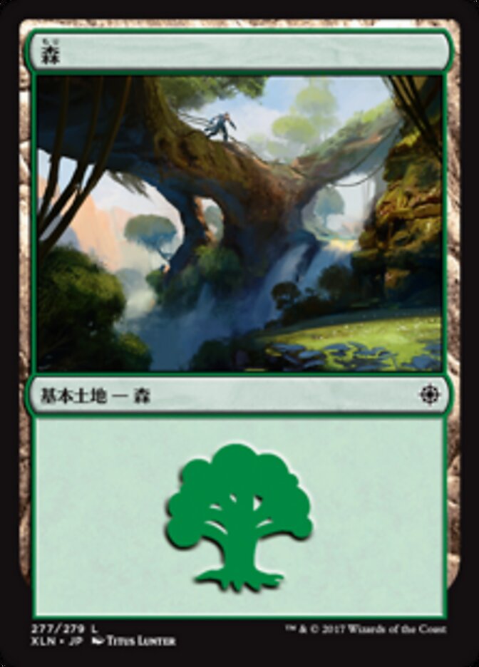 森