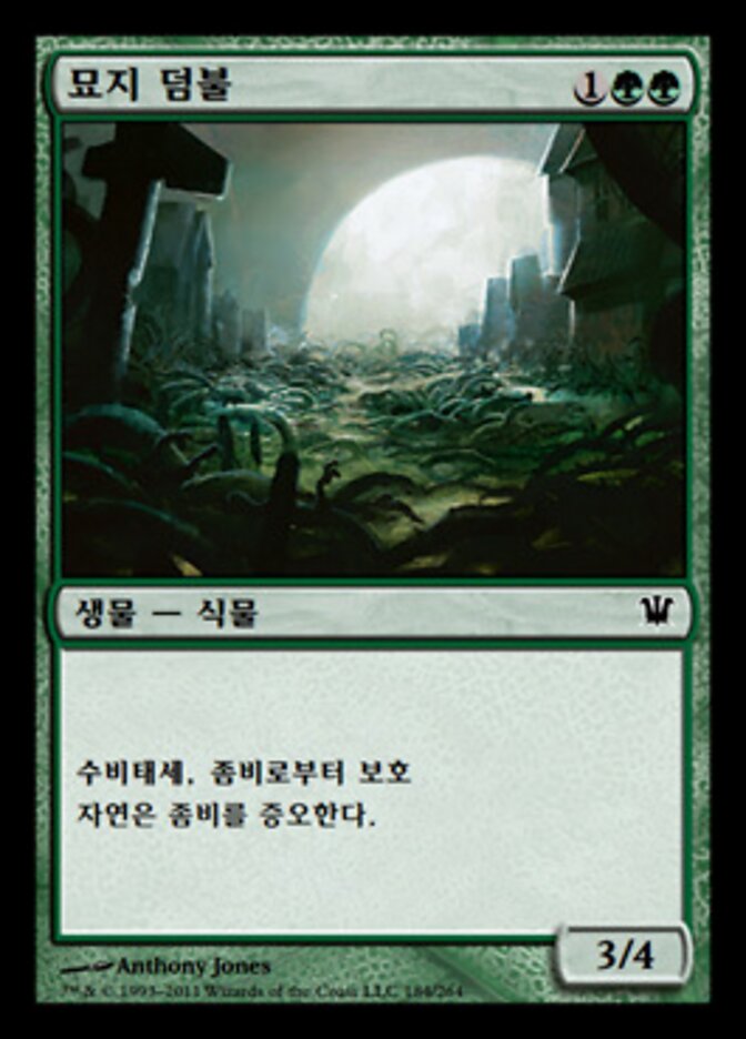 묘지 덤불