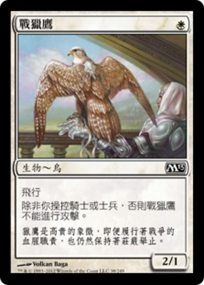 戰獵鷹