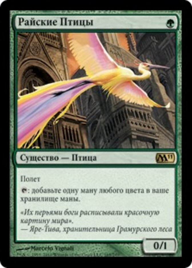Райские Птицы