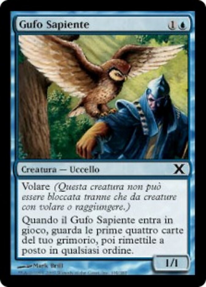 Gufo Sapiente