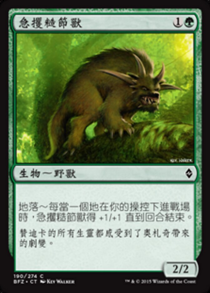 急攫糙節獸