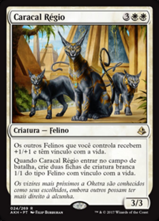 Caracal Régio