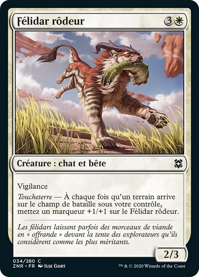 Félidar rôdeur
