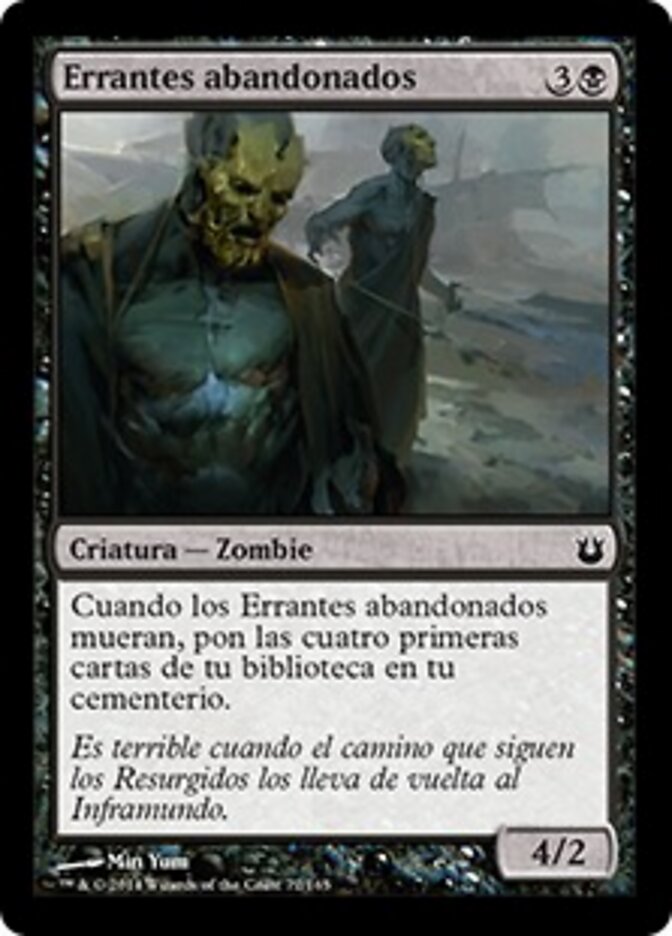 Errantes abandonados