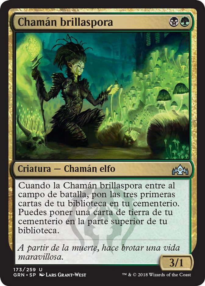 Chamán brillaspora