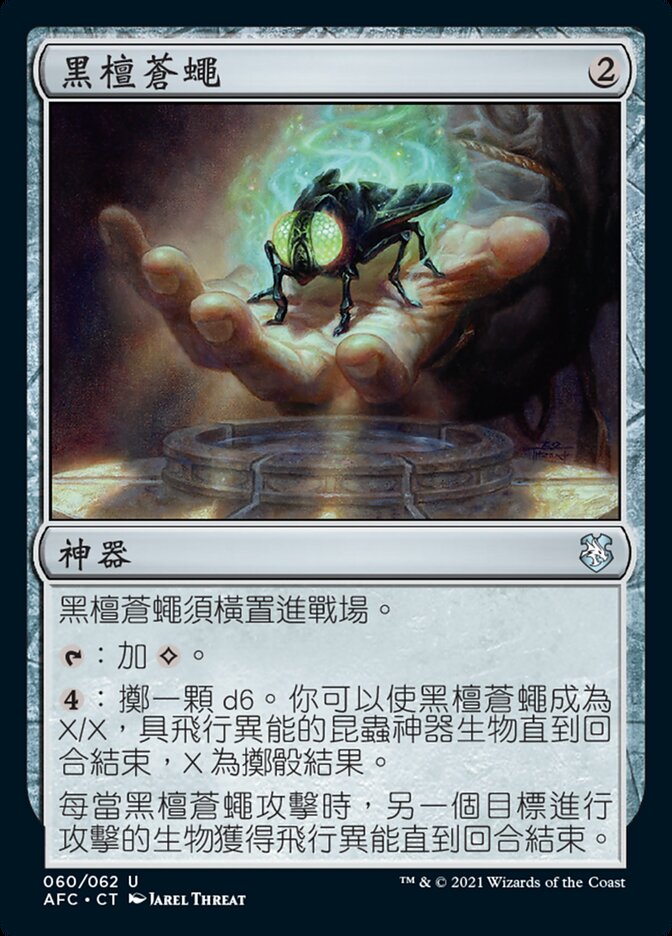 黑檀蒼蠅
