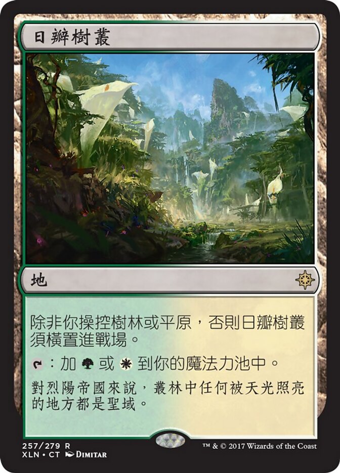 日瓣樹叢