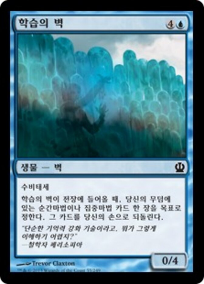 학습의 벽
