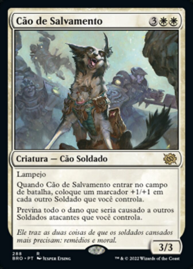 Cão de Salvamento