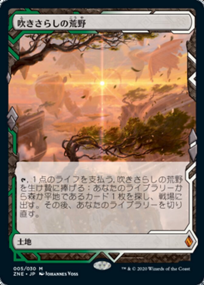 吹きさらしの荒野