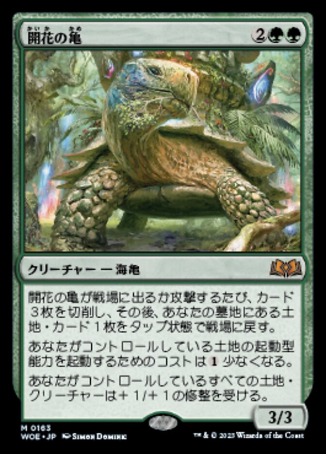 開花の亀