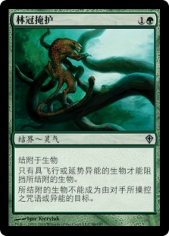 林冠掩护
