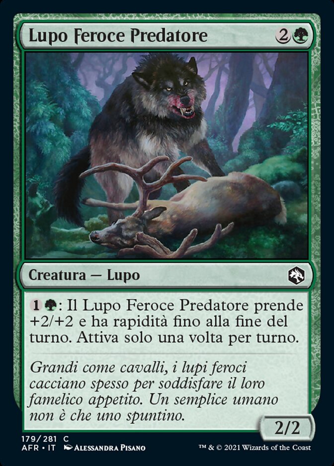 Lupo Feroce Predatore