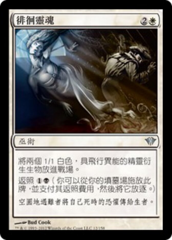 徘徊靈魂