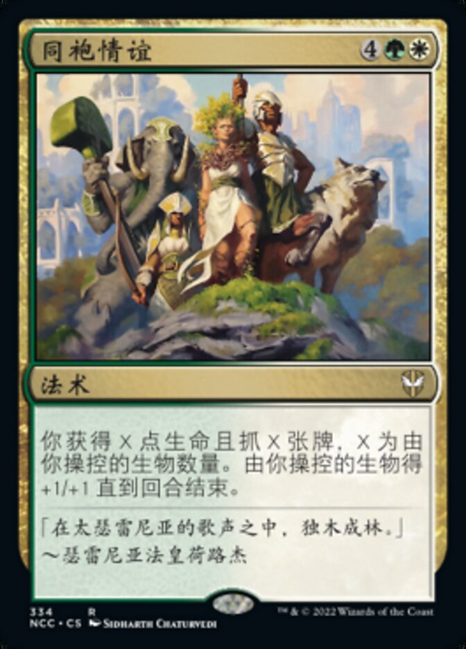 同袍情谊