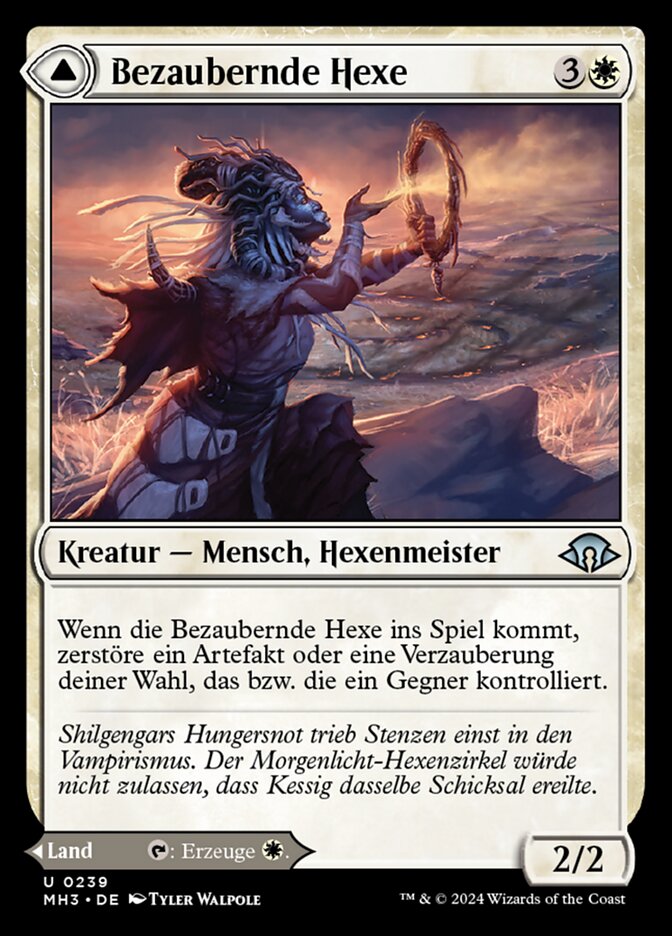 Witch Enchanter // Witch-Blessed Meadow