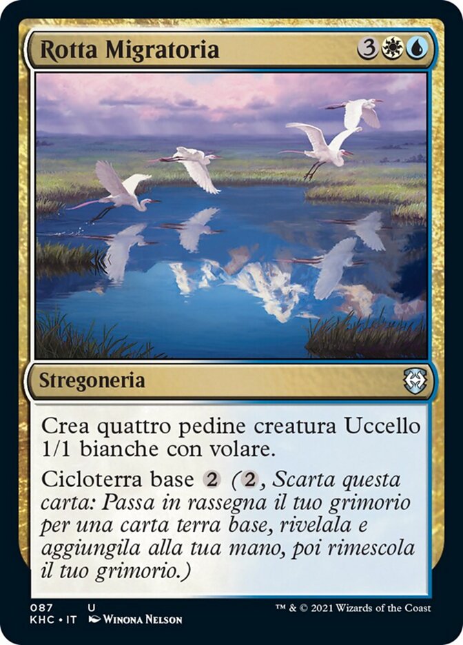 Rotta Migratoria