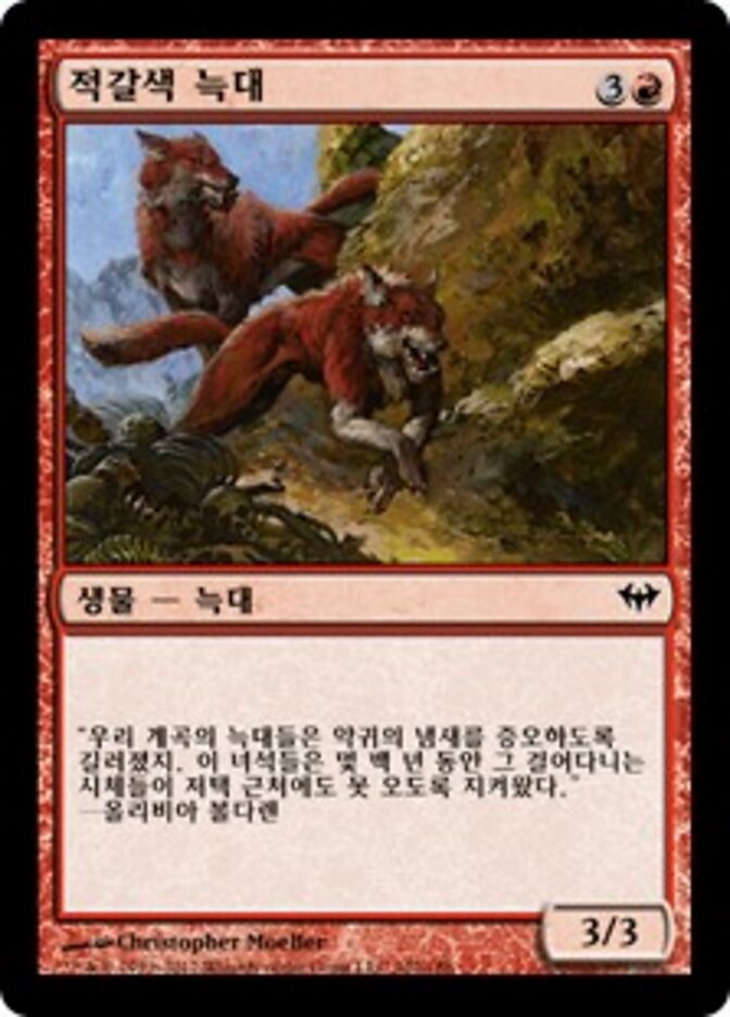 적갈색 늑대