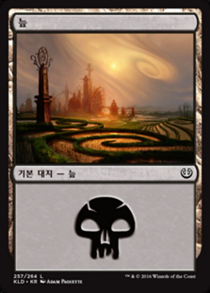 늪