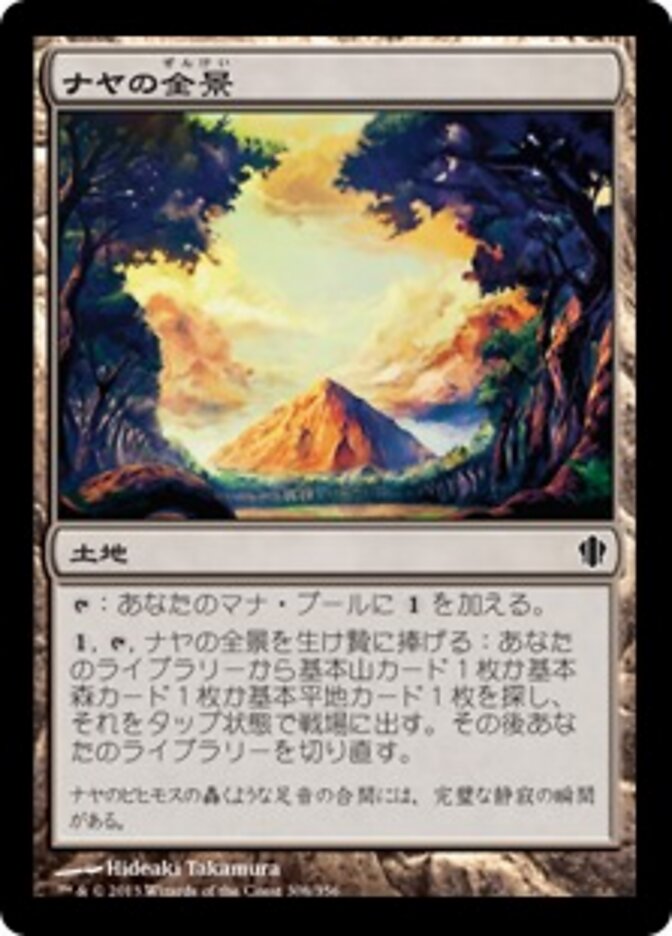ナヤの全景