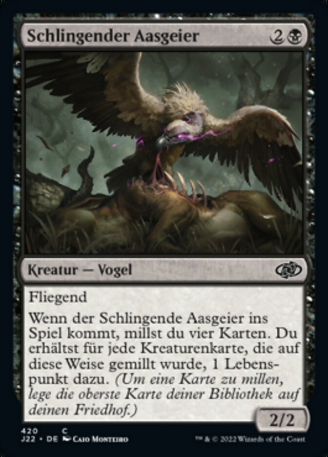 Schlingender Aasgeier