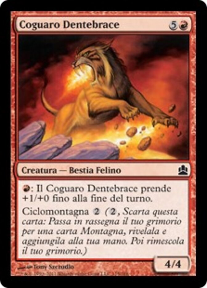 Coguaro Dentebrace