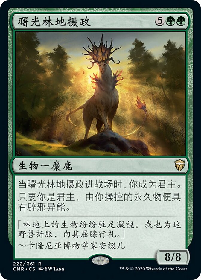 曙光林地摄政
