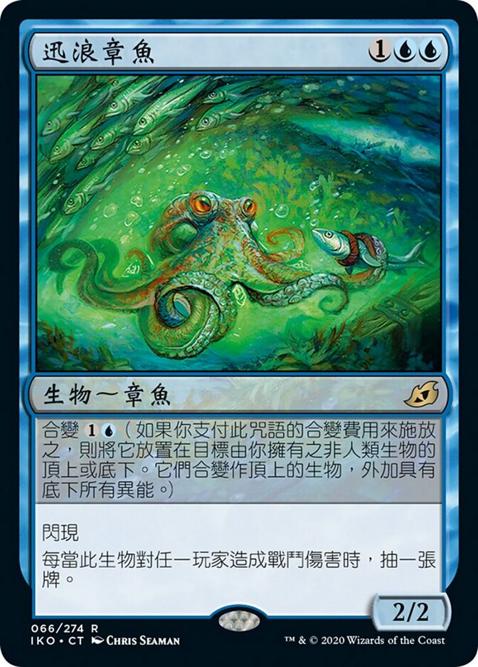 迅浪章魚