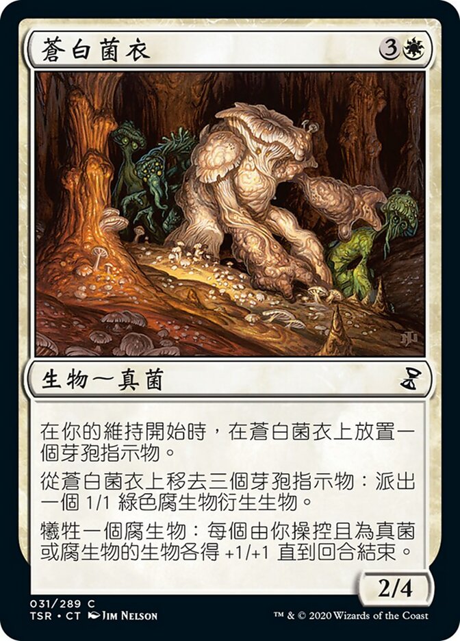 蒼白菌衣