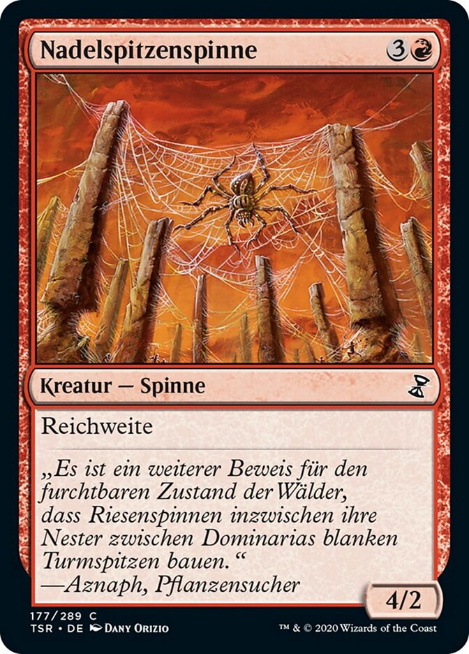 Nadelspitzenspinne