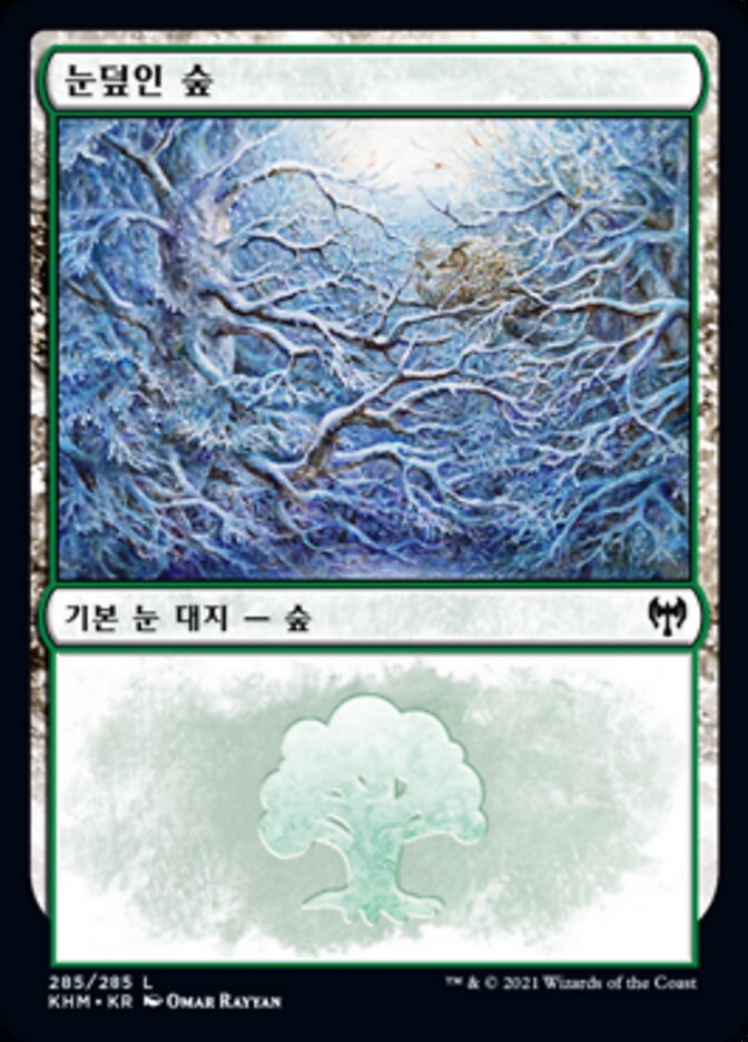 눈덮인 숲