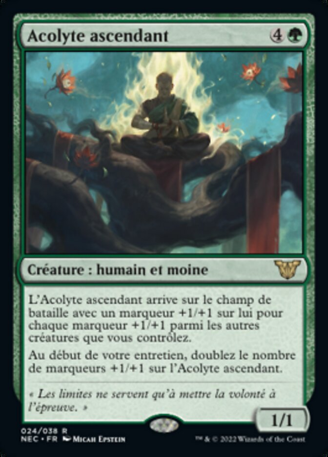 Acolyte ascendant