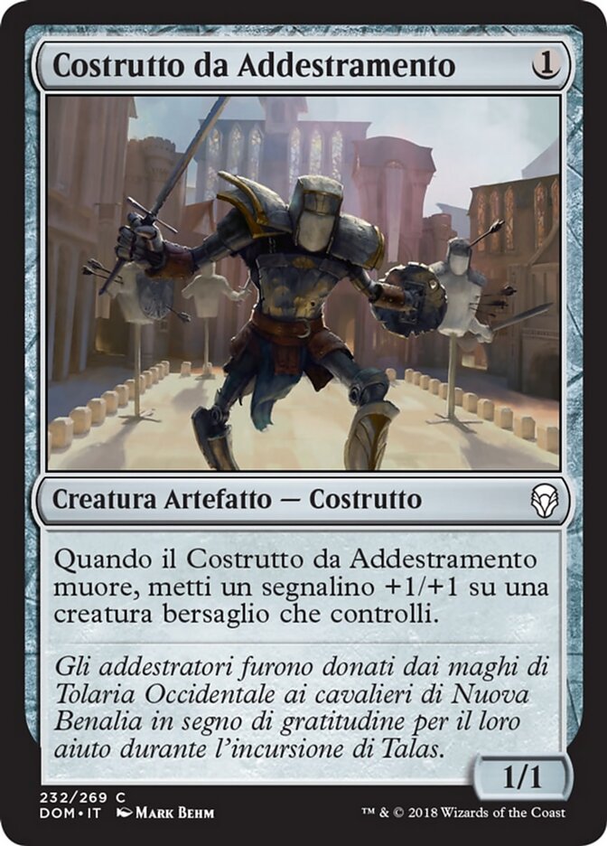 Costrutto da Addestramento
