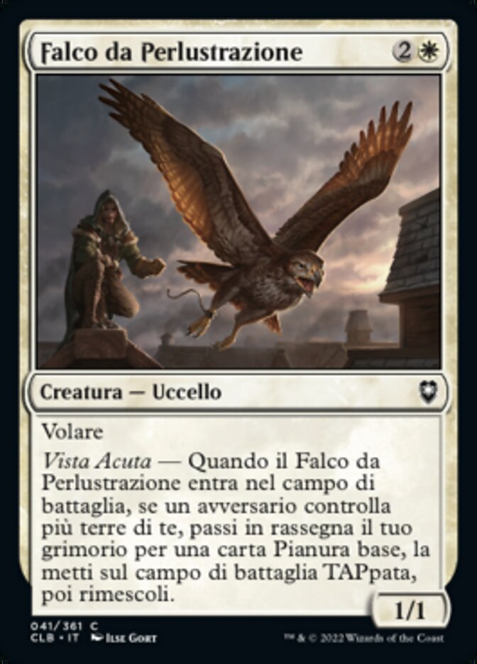 Falco da Perlustrazione