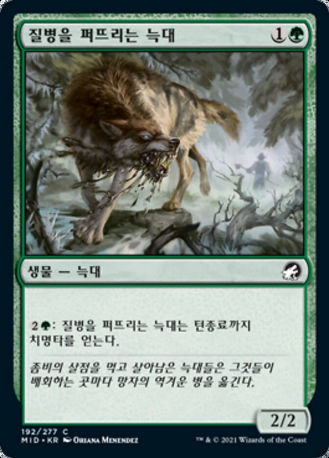 질병을 퍼뜨리는 늑대